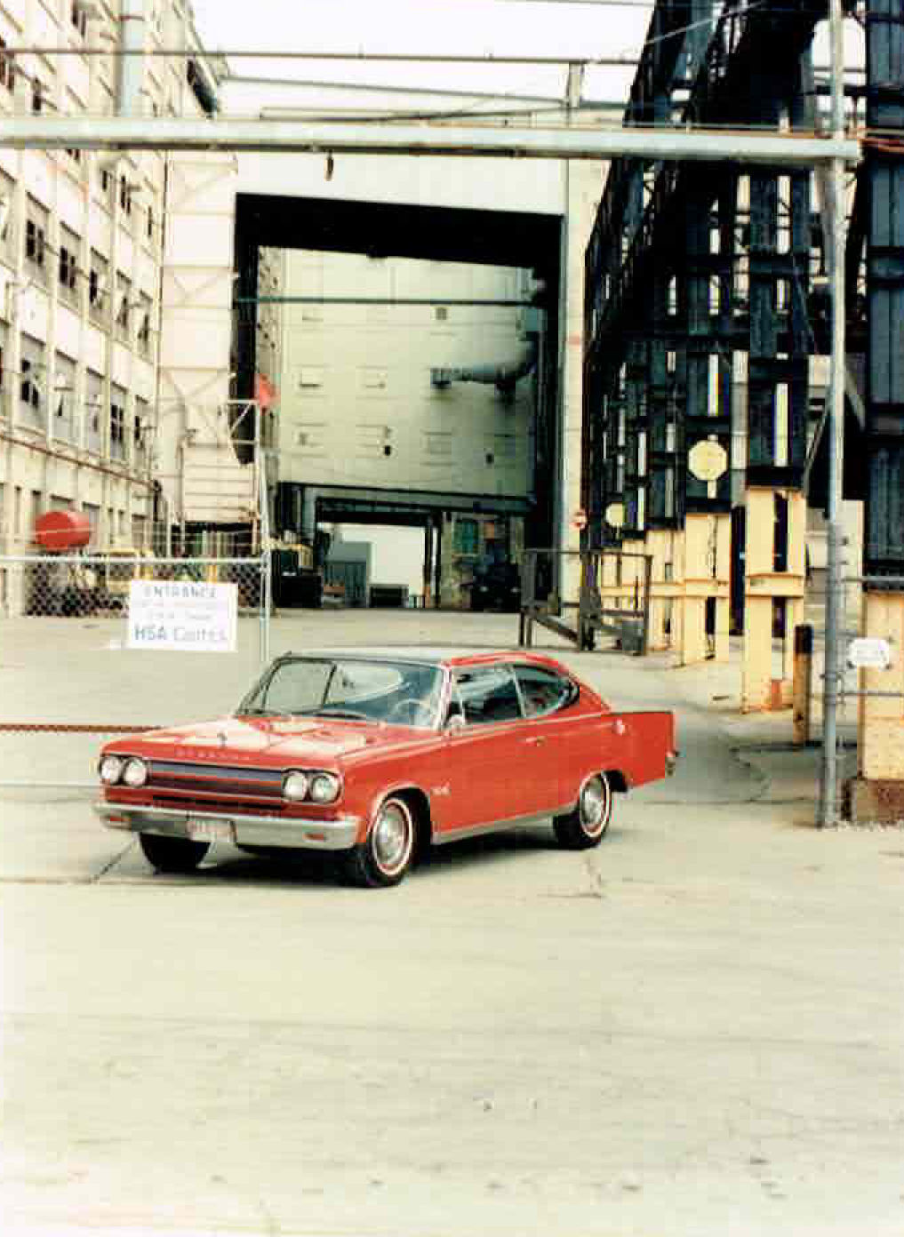 Marlin at plant.jpg
